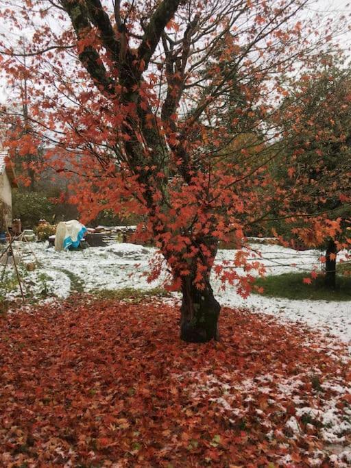 Lerable Pourpre De La Grotte Au Lion Villa Arbon ภายนอก รูปภาพ